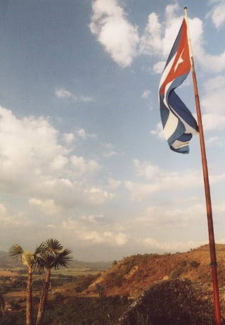 ¡Hasta el vomito siempre!